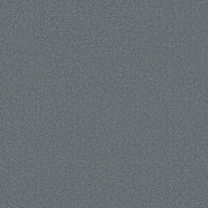 AWAKEN SPIRIT I by Shaw Floors - Steel Blue