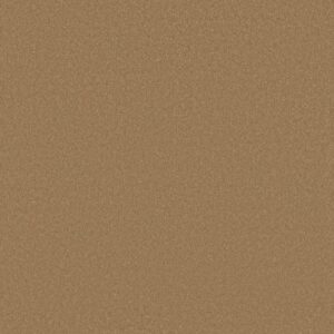 AWAKEN SPIRIT II 15' by Shaw Floors - Warm Brass