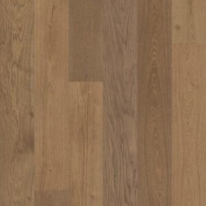 Utmost by Shaw Floors - Intent