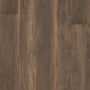 Symbiotic 5.0 by Shaw Floors - Terra