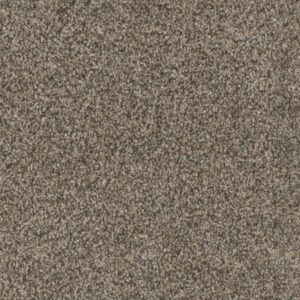 TRENDSETTER II by Dreamweaver - Trail Creek 398