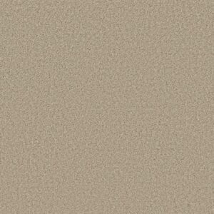 HIGH IMPACT S by Shaw Floors - Paradise