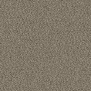HIGH IMPACT B by Shaw Floors - Fairview
