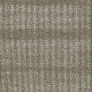 RIDGES by Philadelphia Commercial - Petrified Wood