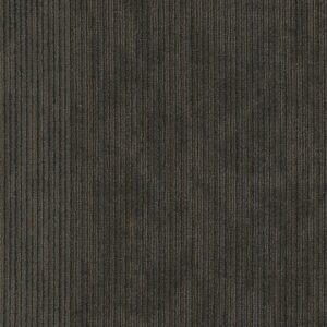 DISCLOSE by Philadelphia Commercial - Coverage