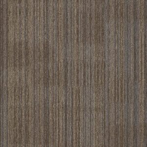 ASCENSION by Philadelphia Commercial - Recreate (Stagger)