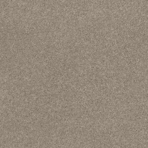 EXPLORER by Shaw Floors - Brushed Steel