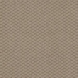 CATHEDRAL HILL II by Shaw Floors - Smoky Pearl