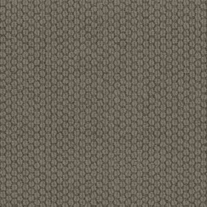CATHEDRAL HILL II by Shaw Floors - River Shale