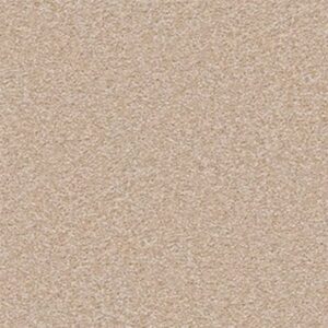 MAGIC AT LAST II 15' by Shaw Floors - Shell