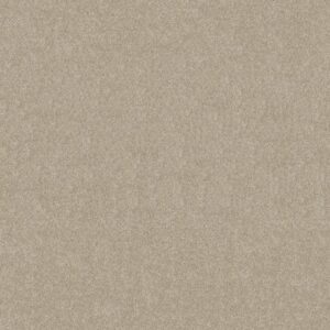 BASIC RULES by Shaw Floors - Arctic Fox