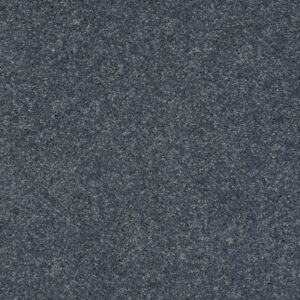 TURN THE PAGE II 12' by Shaw Floors - Pacific