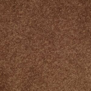 STEP RIGHT UP I 15' by Shaw Floors - Pottery