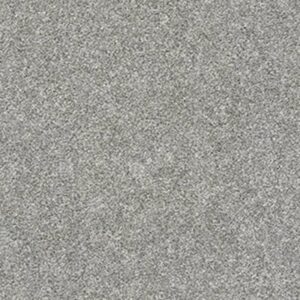 ALL OVER IT I by Shaw Floors - Stone Path