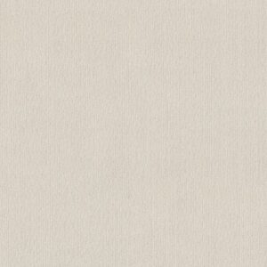 INSIGHTFUL WAY by Shaw Floors - Crisp Linen