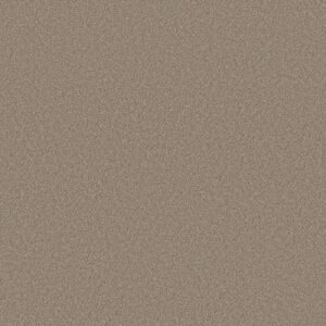 MOMENTUM I by Shaw Floors - Plaza