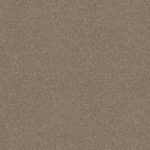 CABANA LIFE (B) by Shaw Floors - Summer Wind