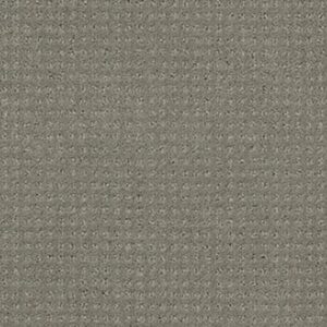 PERPETUAL MOVE by Shaw Floors - Slate