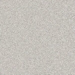 GOLD TEXTURE TONAL by Shaw Floors - Sequoia Park