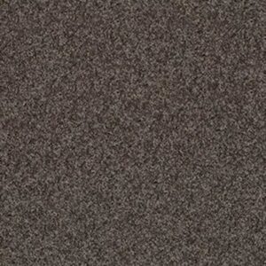 MY INSPIRATION II by Shaw Floors - Chocolate