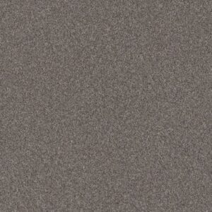 GRANDIOSE by Shaw Floors - Desert View