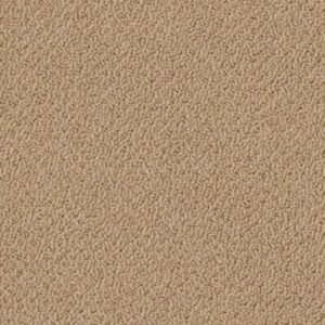 SUBTLE SHIMMER LOOP by Shaw Floors - Honey Pot