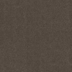 BOUNDLESS IV by Shaw Floors - Gateway