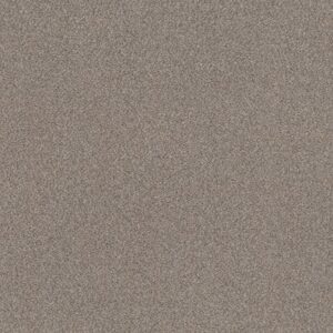 TRUSPLENDOR by Shaw Floors - Concrete