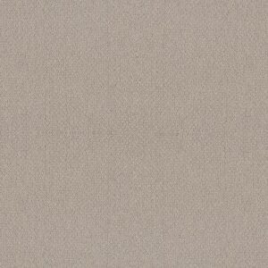 EMBELLISHED by Shaw Floors - Birch