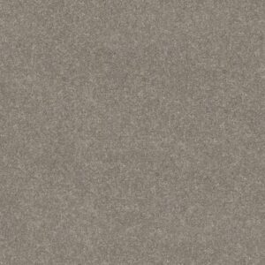 SMOOTH TALK I by Shaw Floors - Ink Spot