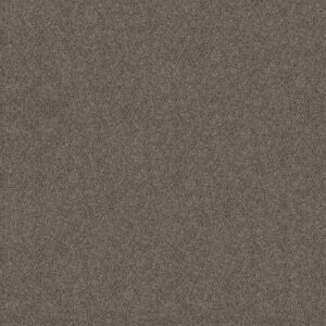 BOUNDLESS IV by Shaw Floors - Slate Stone