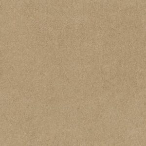 HARLEY STREET I by Shaw Floors - Semolina