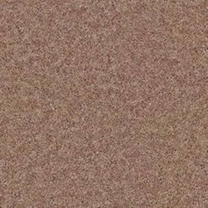 UNION CITY I 12' by Shaw Floors - Granola