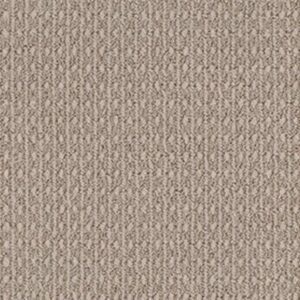 MODESTA by Shaw Floors - Canvas