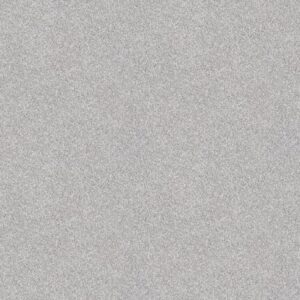 INFLUENCER by Shaw Floors - Silver Lining