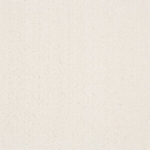 ESSENTIAL NOW by Shaw Floors - Serene Still