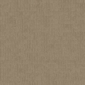 CHIC NUANCE by Shaw Floors - Desert View