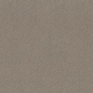 CHIC SHADES by Shaw Floors - River Run