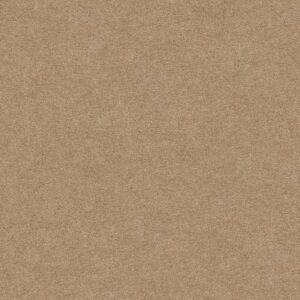 CASCADE II by Shaw Floors - Tree Trunk