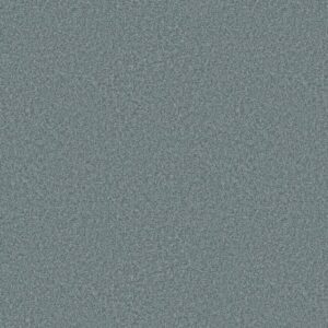 YOU GOT THIS I by Shaw Floors - Sea Ice
