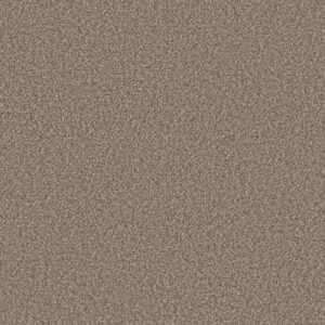 ARTISTIC FUSION II by Shaw Floors - Sea Shell