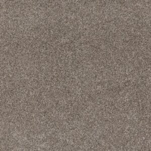 YES YOU CAN III 15' by Shaw Floors - Warm Light