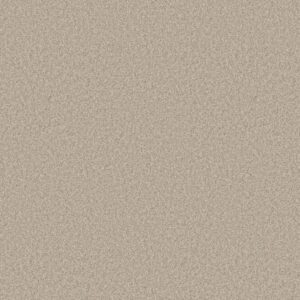 YOU GOT THIS I by Shaw Floors - Natural
