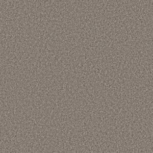 ARTISTIC FUSION II by Shaw Floors - Ashes