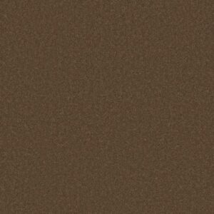 CASHMERE CLASSIC I by Shaw Floors - Tobacco Leaf