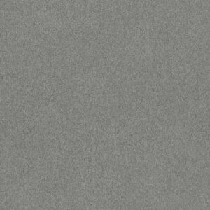 COZY HARBOR I by Shaw Floors - Grounded Gray