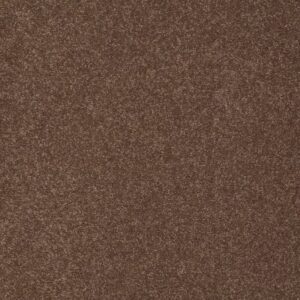 SHINGLE CREEK II 15 by Shaw Floors - Wooden Box