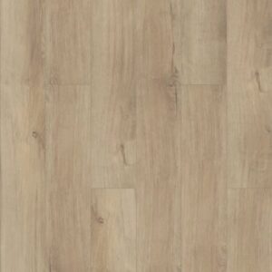 Paladin Plus by Shaw Floors - Marina