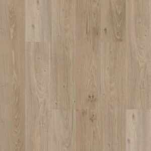 Praxis Plank by Shaw Floors - Expose