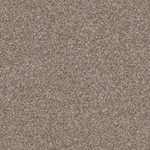 MAKE IT MINE II by Shaw Floors - Fox Hollow